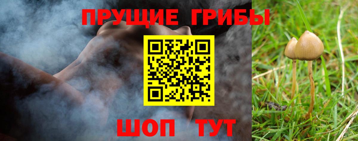 Нижнеудинск  Псилоцибиновые грибы GOLDEN TEACHER  где можно купить   Вход с VPN 